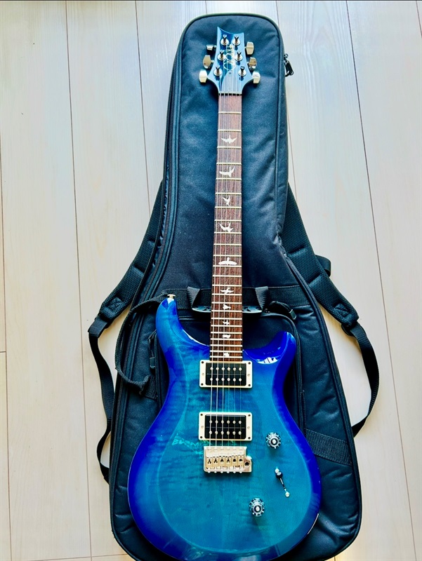P.R.S. S2 Custom24 LBの画像
